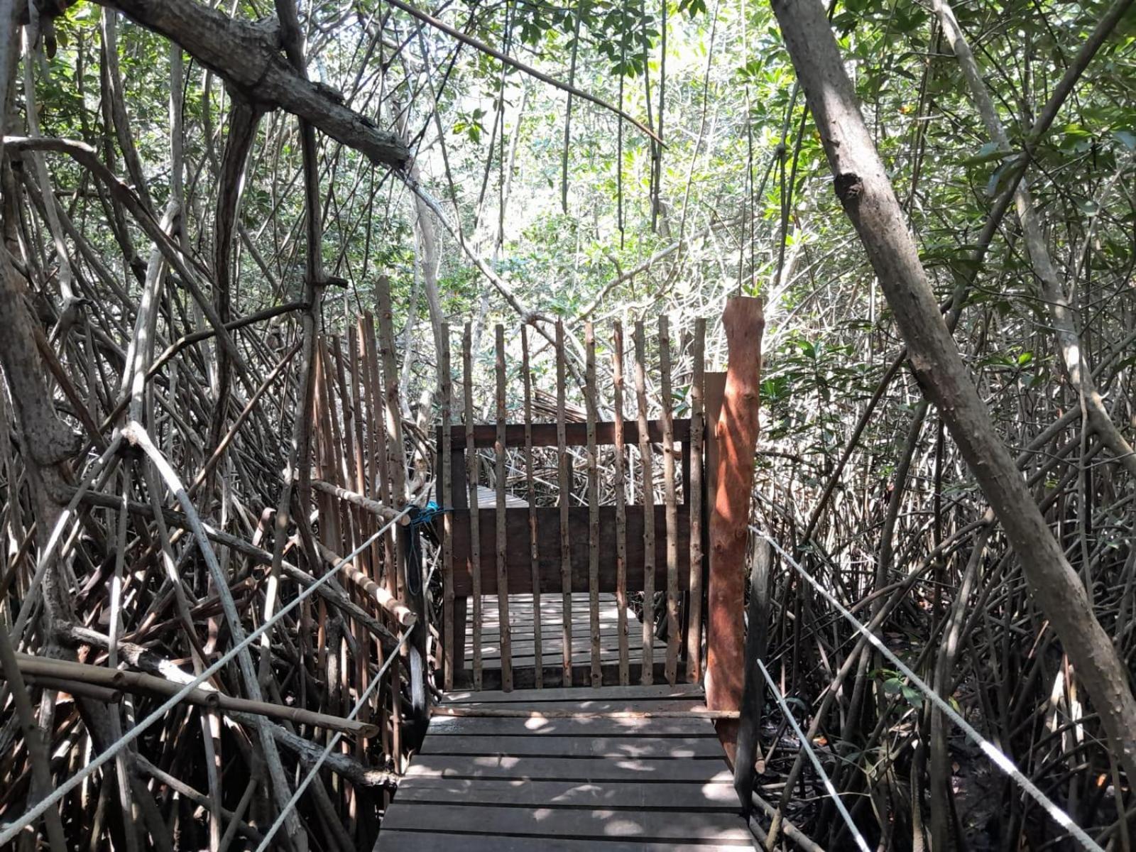 El Puente Hotell El Paredón Buena Vista Eksteriør bilde